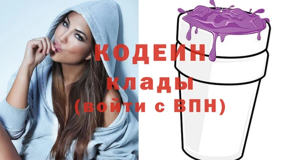 гашик Верея