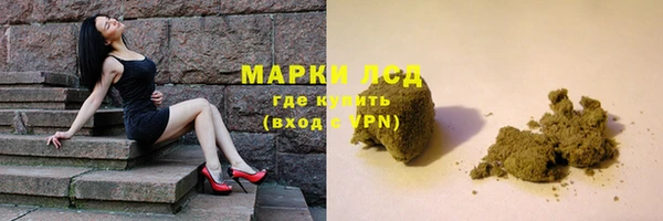 гашик Верея