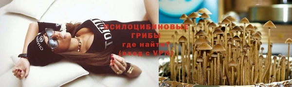 твердый Верхний Тагил