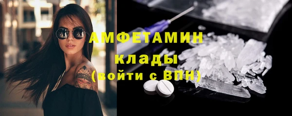 гашик Верея