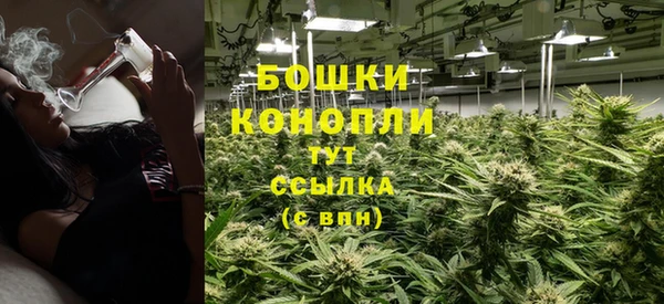 гашик Верея