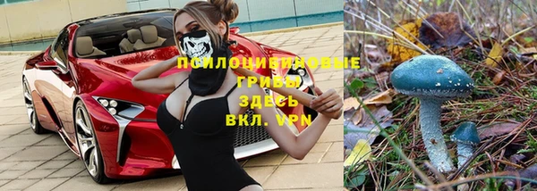 твердый Верхний Тагил