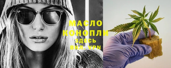 гашик Верея