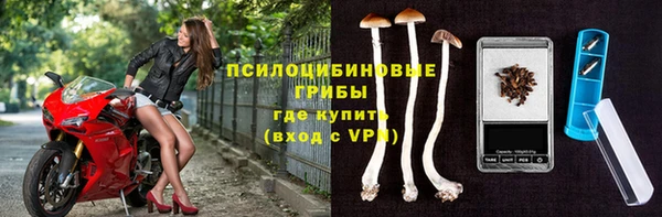 гашик Верея