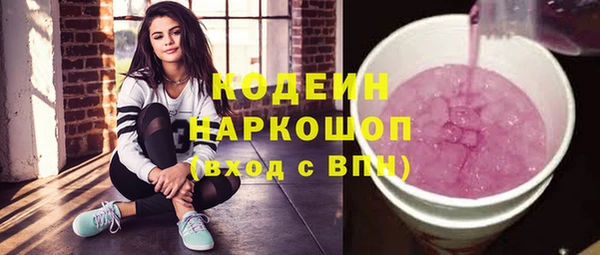 гашик Верея