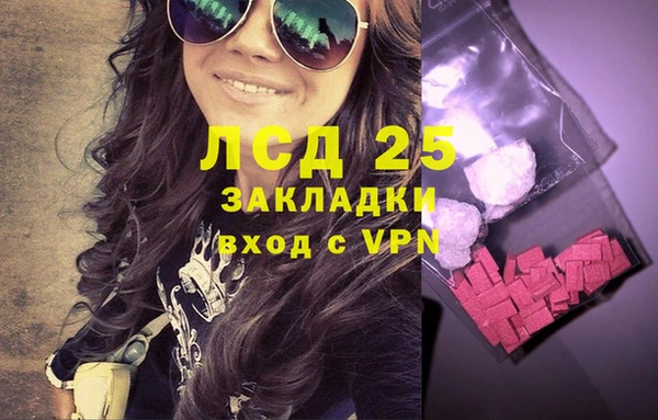 гашик Верея