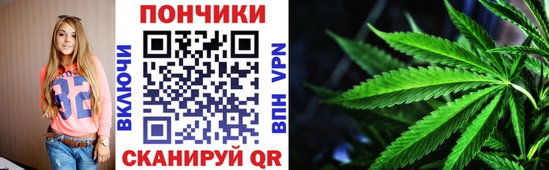 Бошки Шишки гибрид  кракен сайт  Сорск 